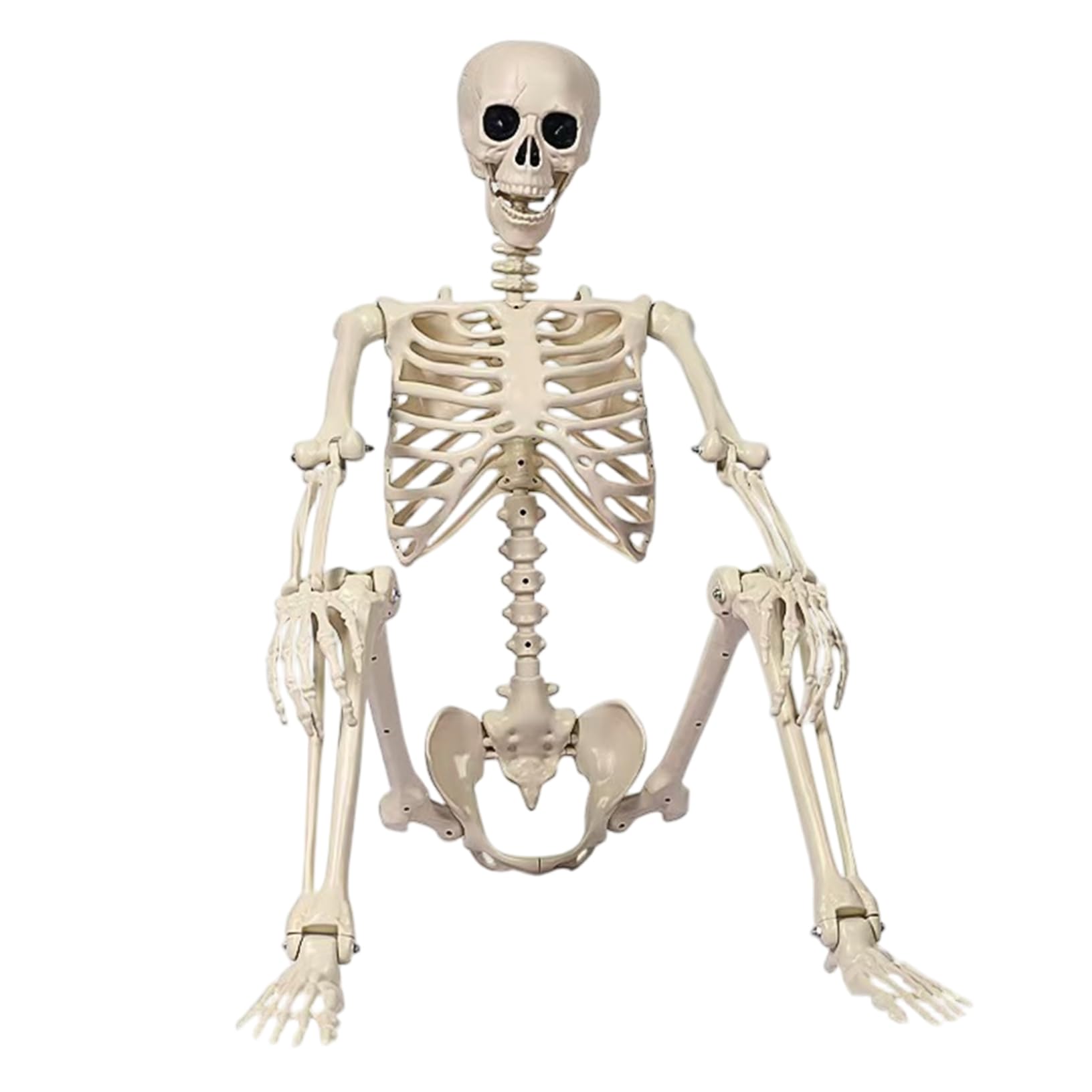 Goutdori Halloween Outdoor Skeleton 35.4in Life Size, Creepy Realistic Posable Plastic Skeleton for Garden Graveyard Haunted House