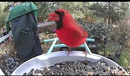 Review Image by truegrain