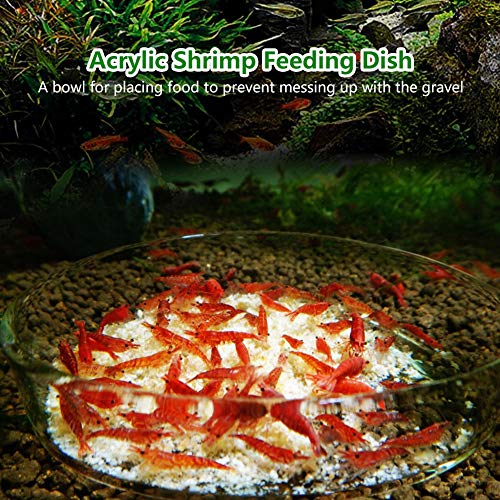 Shrimp Feeding Dish Bowl Acrylic Flower Design Aquarium Tray Water Food Smaller Reptile Worms Pets Dish Feeder Bowl - Image 7