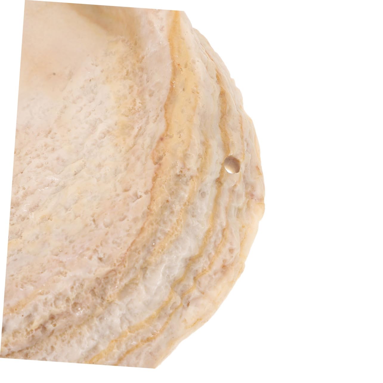 2piezas Tazón De Alimentación para Reptiles Comedero y Bebedero De Resina Diseño De Roca para Terrarios y Hábitats De Reptiles