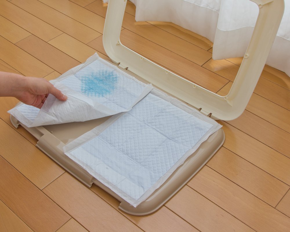 【薄型】クリーンペットシーツ レギュラー ハーフサイズ 300枚*4個セット Amazon | アイリスオーヤマ 薄型 クリーンペットシーツ レギュラー