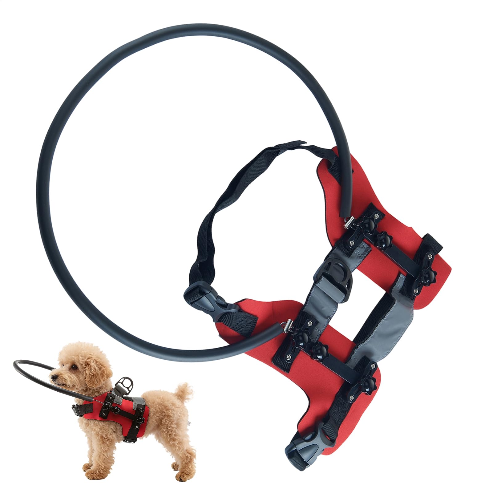 Schutzgeschirr für blinde Hunde Blindkatzen-Geschirr mit Reflexstreifen | Anti-Kollisions-Schutzring für Haustiere Für Spaziergänge, Reisen, Training, Outdoor und Indoor