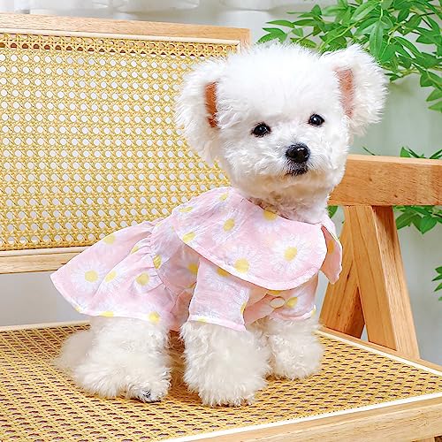 Vestido de boda para cachorro XL multicolor miniatura 5
