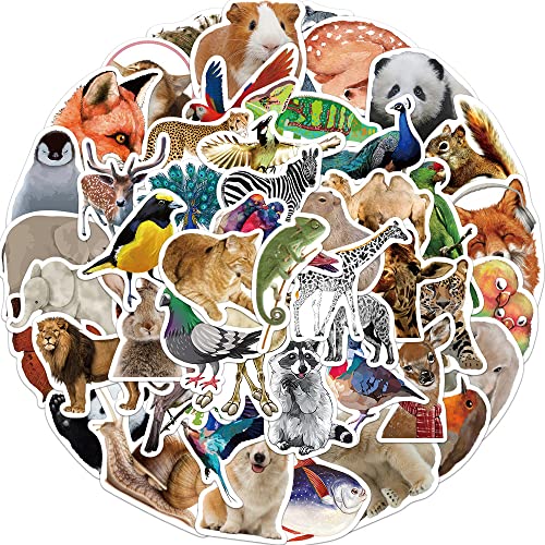 Cute Animal Stickers for Kids Teens, Zoo Animals Stickers, Realistic Animals Decals for Students, 50Pcs Hapiuen Waterproof Sticker for Water Bottles Laptop Scrapbook, Party Supplies