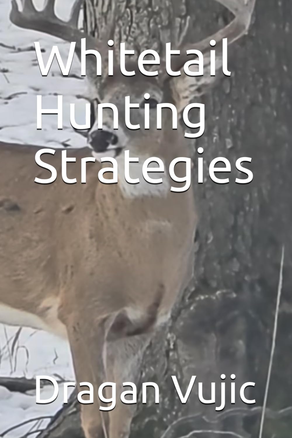 Whitetail Hunting Strategies