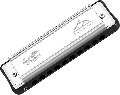 Miniatura 10 de EASTROCK Armónica profesional de 10 agujeros totalmente metálica diatónica, órgano de boca para adultos, clave de C para principiantes y estudiantes