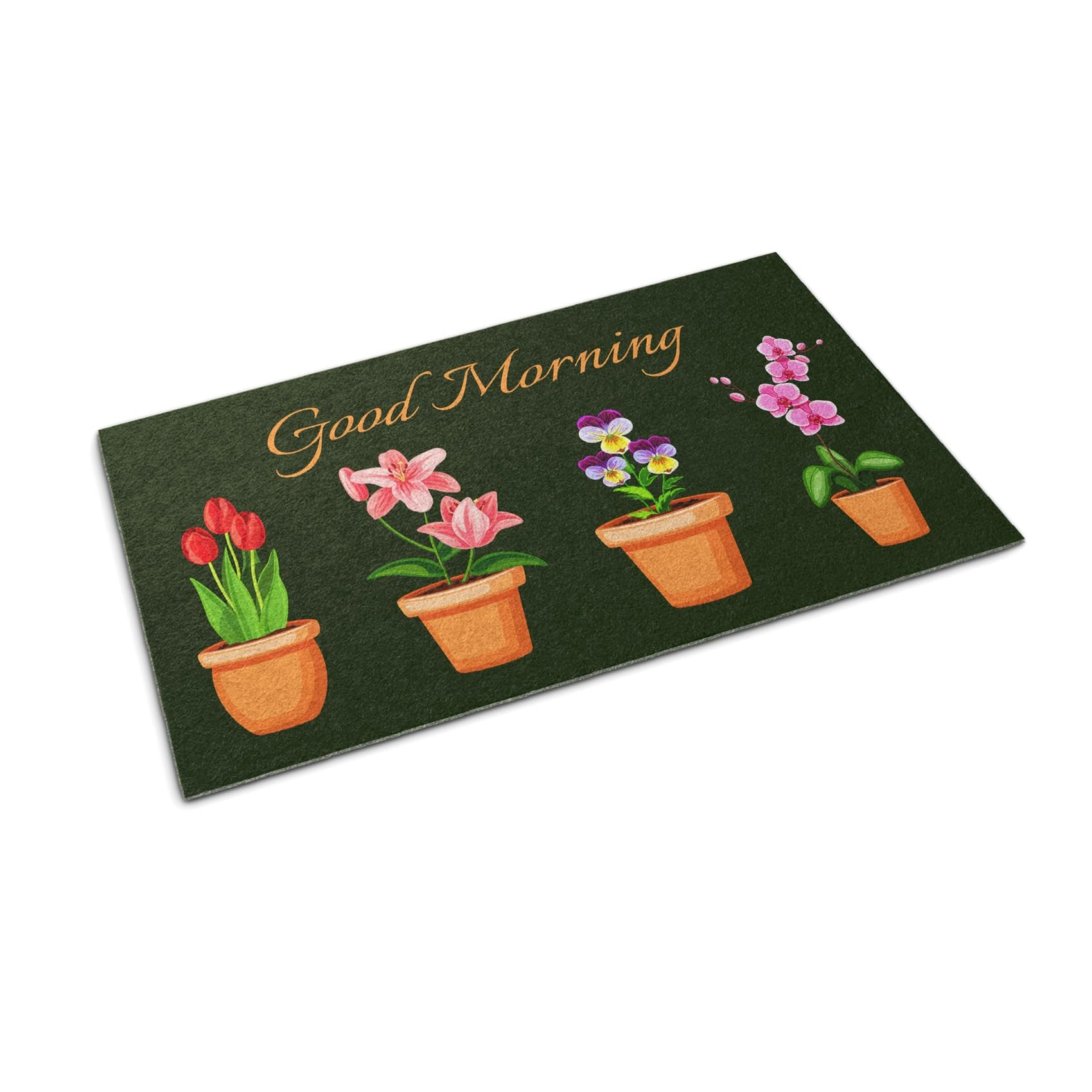 Paillasson 150x100cm Tulup avec motif fleurs en pot tapis de sol