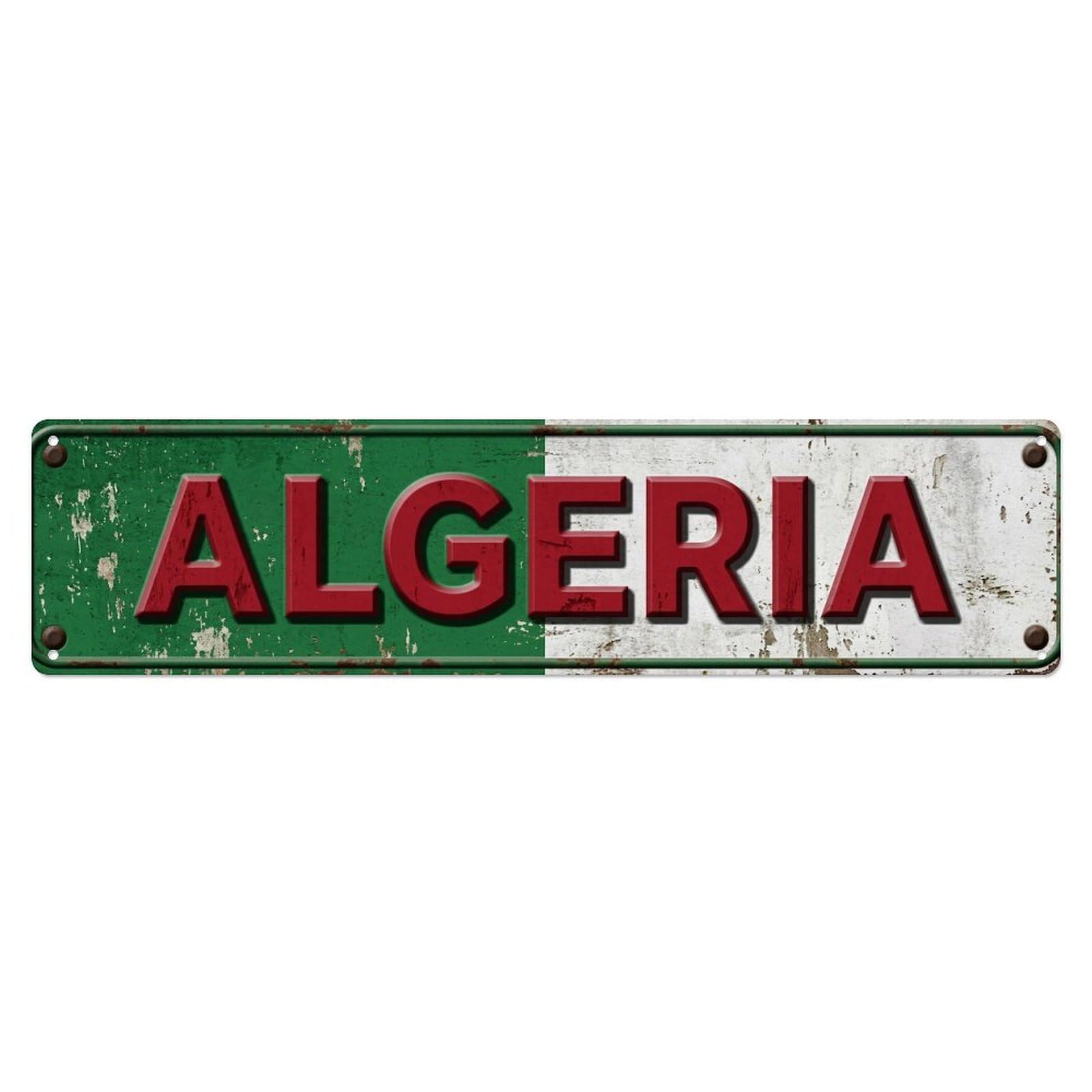 Vintage Algeria Flag Pattern Metal Tin Sign