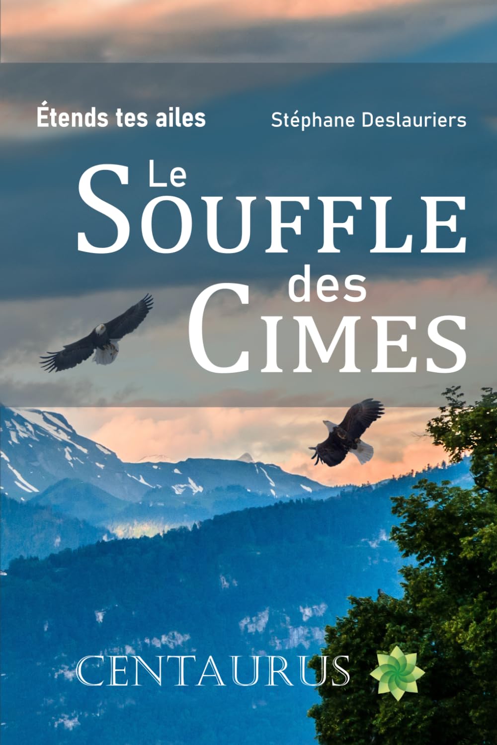 Le Souffle des Cimes (Etends tes Ailes et Assume ton Leadership)