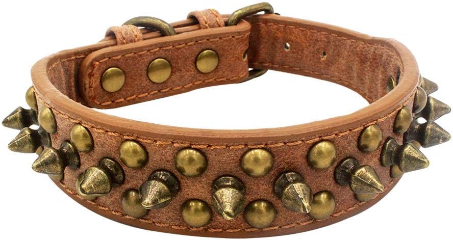 telecamera per cani per collare