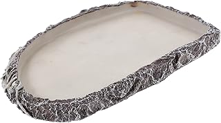 iplusmile Prato De Alimentação De Répteis Tigela De Água Tigela De Comida De Répteis Tigelas De Terrário De Alimentação De Répteis Anfíbios Para Tartaruga Leopardo Sapo Dragão Barbudo