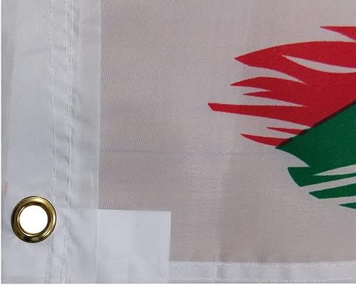 Miniatura 3 de Bandera de nailon 68D con texto en inglés "Virgen María y María Guadalupe" de Estados Unidos, México, resistente a la decoloración, resistente a la