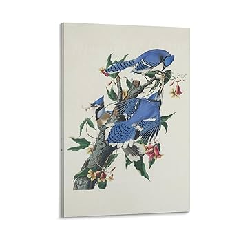 John James Audubon アメリカ鳥類博物画の本 71U6R-mu1RL._UF350,350_QL50_.jpg
