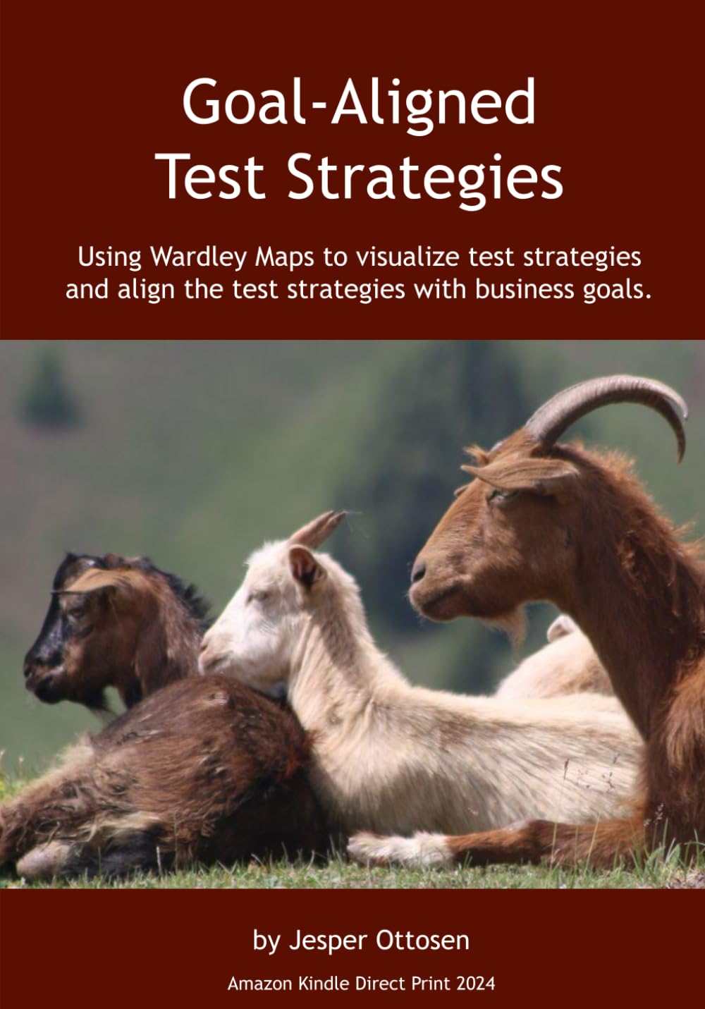 Goal-Aligned Test Strategies: Using Wardley Maps to visualize test strategies and align the test strategies with business goals.