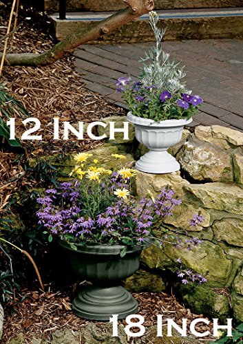 Bloem Grecian Urn Planter, 12", White #TOP4