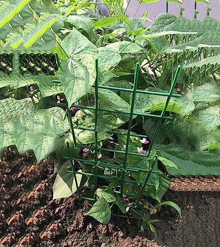 6-Piece Pack Trellis For Potted Plants,Small Garden Trellis For Climbing Plants Outdoor,Stackable Plastic Trellis For Potted Plants Indoor,Diy Climbing Trellis Houseplant Supports 12 X 6.5 Inches… #TOP1