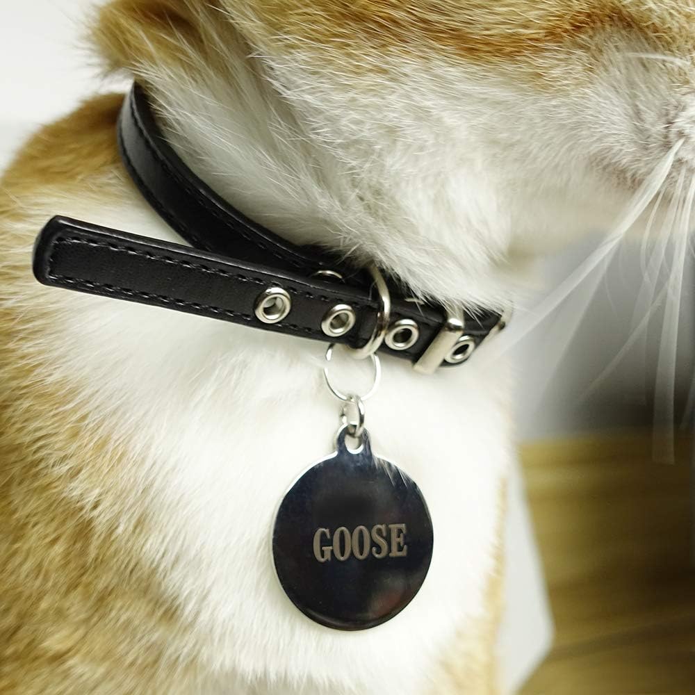 climate controlled pet carrier