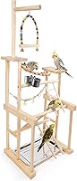Chuiendi 4-Layer Bird Playground: Parrot Perch Stand for Parakeet, Conure, Cockatiel, Lovebird, Budgie - Swings, Ladders, Feeder Cups, Detachable Tray
