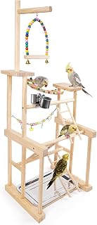 Chuiendi 4-Layer Bird Playground: Parrot Perch Stand for Parakeet, Conure, Cockatiel, Lovebird, Budgie - Swings, Ladders, Feeder Cups, Detachable Tray