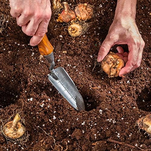 Rockler Garden Transplanter Turning Kit