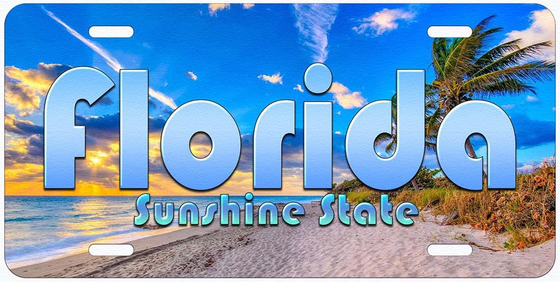 Florida Sunshine State Novelty Car Auto License Plate