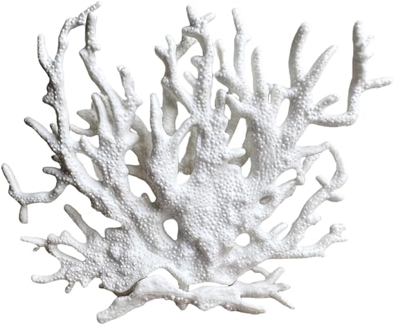 Holz Koralle, Dekoelement