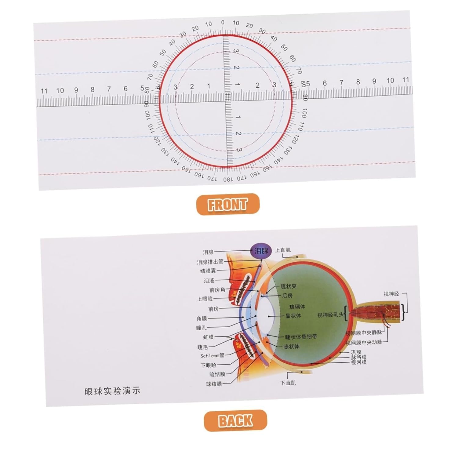 Physics Optical Experiment Kit Teaching Equipment for Physics Triangular Prism Convex Lens Concave Mirror Optical Reflector for Science Education