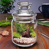 Amazon.co.jp: 誕生日 プレゼント ハンドメイドキット プリザーブド