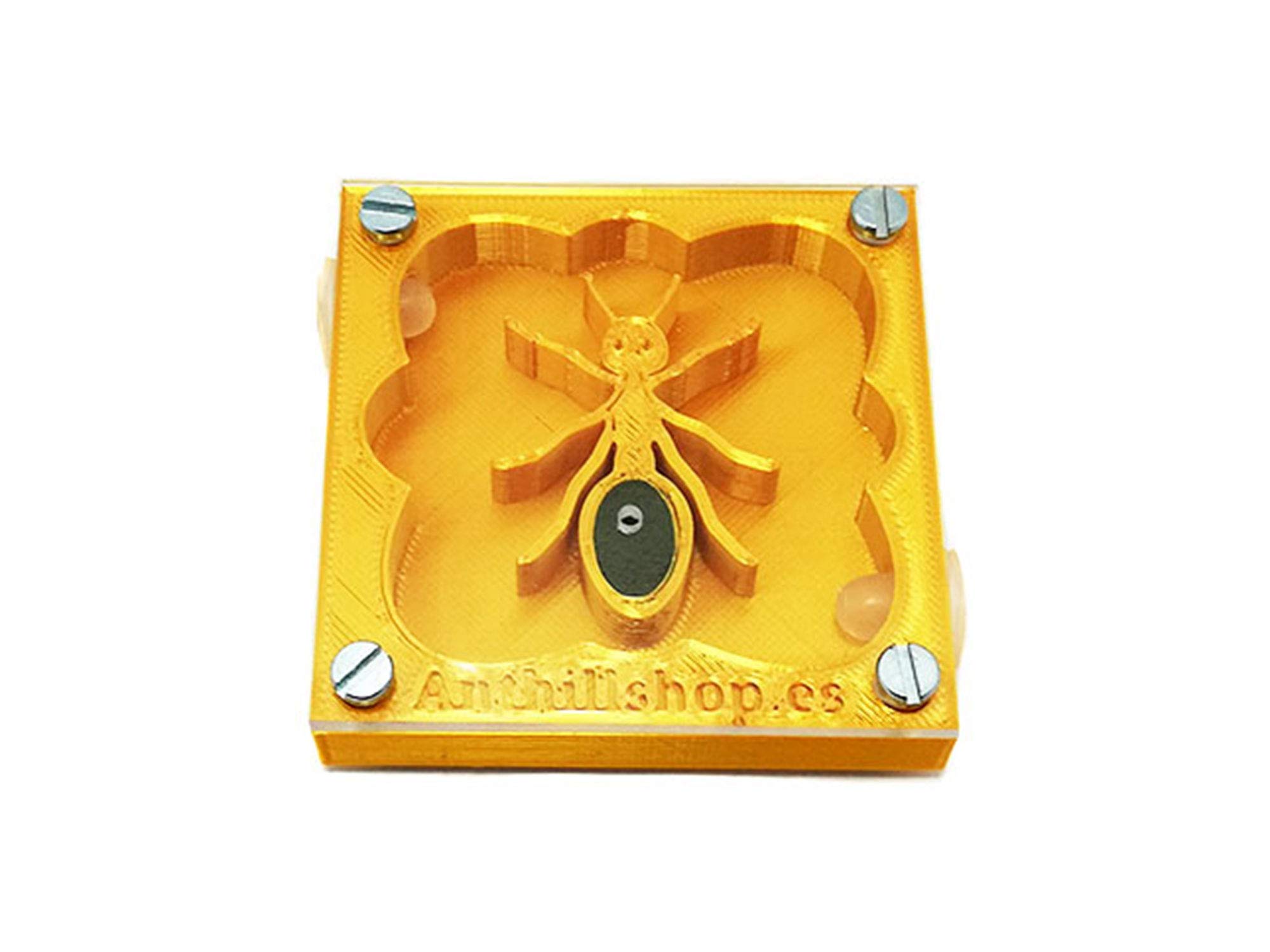 Fourmilières 3D 7 x 7, design fourmi éducatif, couleur or avec boîte de fourmis