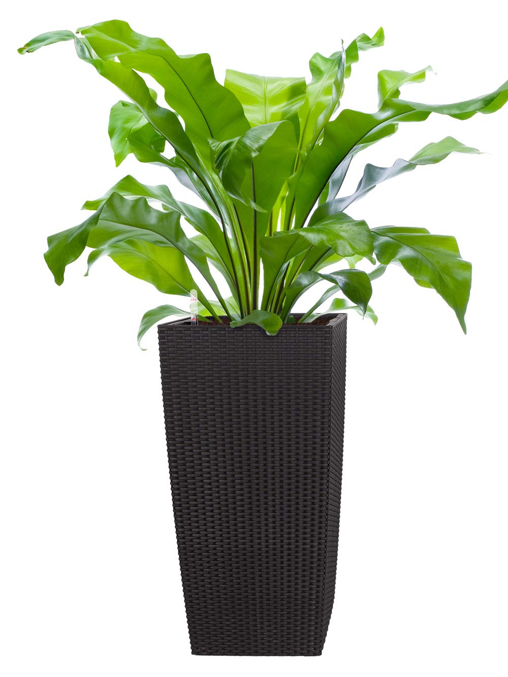 Pflanzwerk® ÖKOSYSTEM Donica na rośliny kwadratowe, doniczki na kwiaty z systemem nawadniania, 75 x 40 x 40 cm, rattan, czarny, donica na kwiaty do wewnątrz i na zewnątrz, ochrona przed
