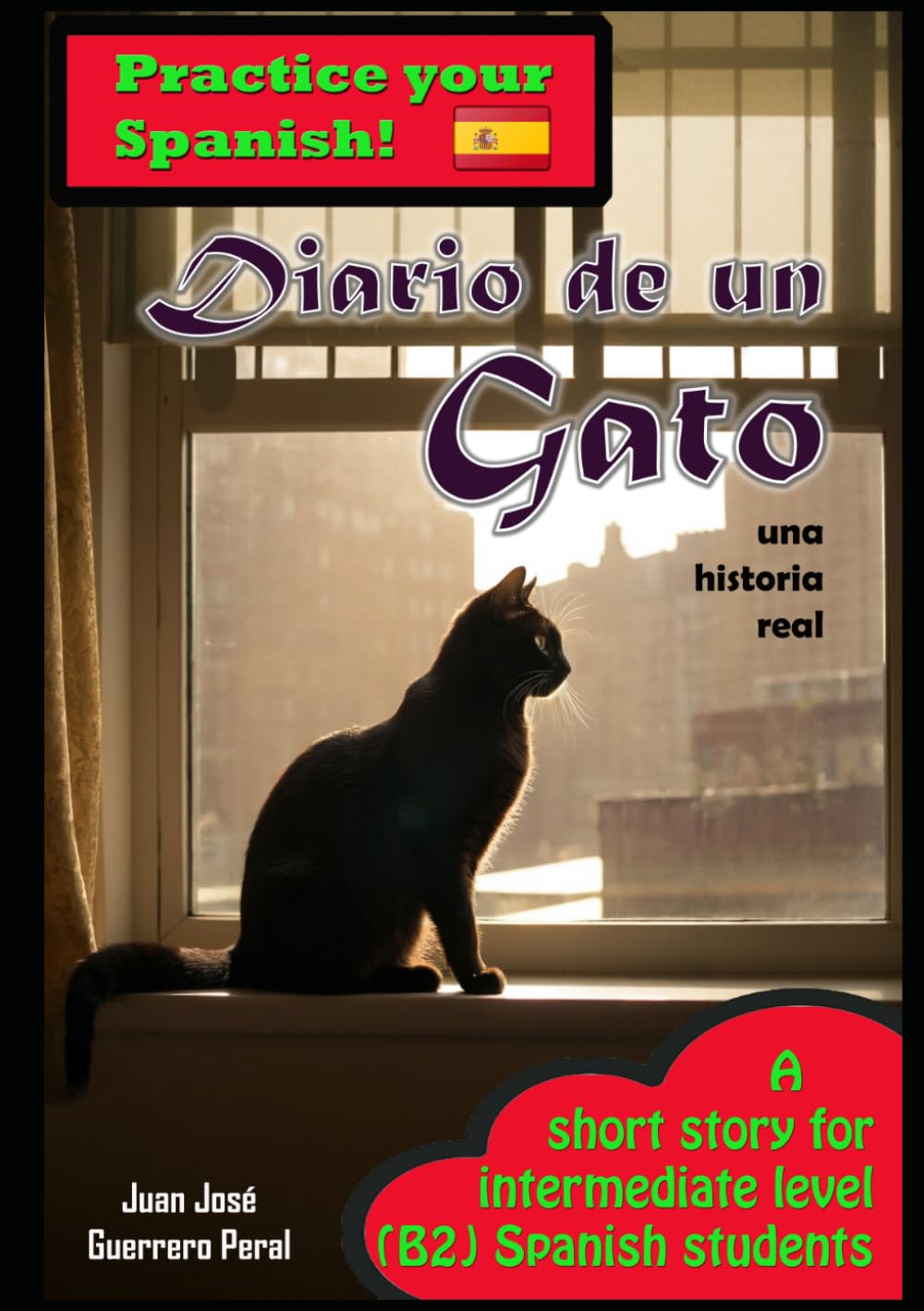 Diario de un gato: Graded Spanish Readers / español nivel intermedio B1 B2 / Lecturas graduadas para estudiantes / spanish intermediate B1 B2 level / Novel for students / Novela para estudiantes