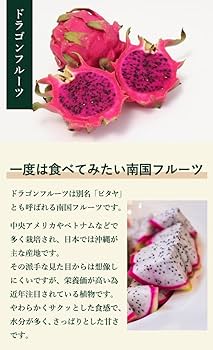 Amazon.co.jp: ドラゴンフルーツ 苗 10.5cmポット 赤肉 挿し木苗