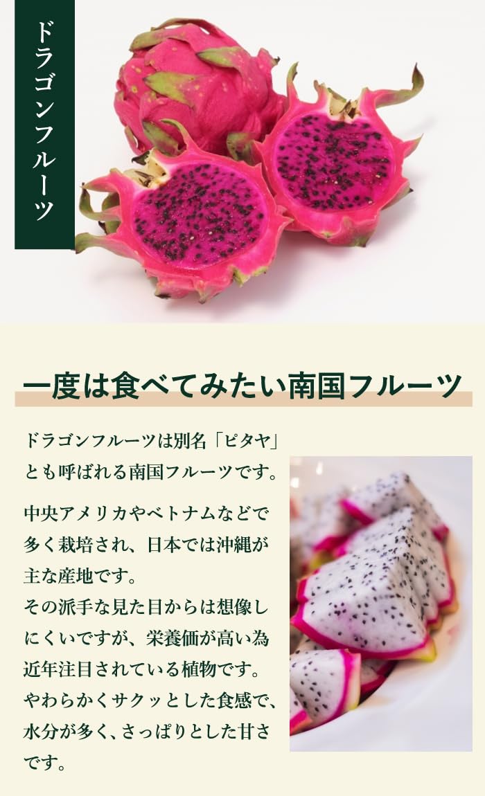 カット苗♥️ツインベリー✕毒ドラゴン✨ ドラゴンフルーツ（コニーマイヤー）の苗（3号ポット） - マルシェ青空