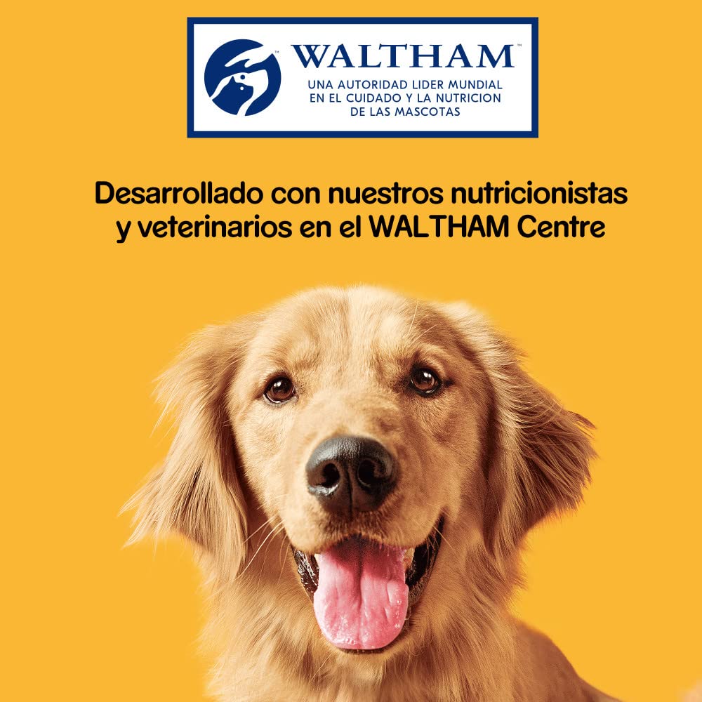 Pedigree Galletas Markies para Mimar A Tu Perro Mediano, 500 G 500 g - Pack de 12