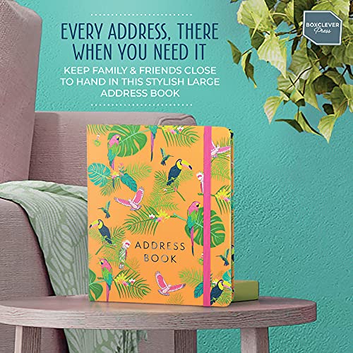 Boxclever Press Large Address Book with 432 Spaces. Address Books with Alphabet Index Hardback, Birthday & Christmas Card Sections, Address Labels & Pocket. Address and Birthday Book - 21.5 x 18.5cm - Image 6