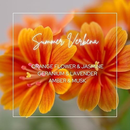 Miniatura 32 de Le Blanc® White Flowers Pack Secadora - Bolsa de tela perfumada de lujo para tu secadora (1 unidad)