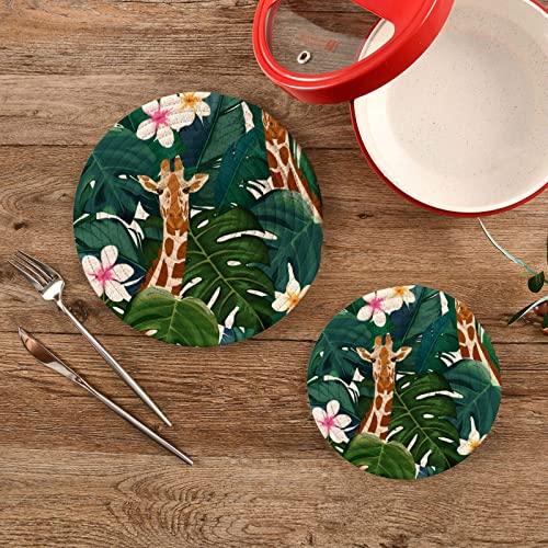 Alaza Exotic Palm Leaves Monstera Giraffe Round Cotton Thread Weave Trivets For Hot Dishes Set Of 2 Sizes 7 Inch & 9.5 Inch Diameter Coasters Trivet Mats Potholders Hot Pads #TOP1