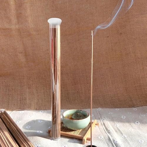 ULTECHNOVO 10  `[u M gїp  KX LjX^[ NA |[^u   AN \ Xg[We ^їp [`[u [P[X s