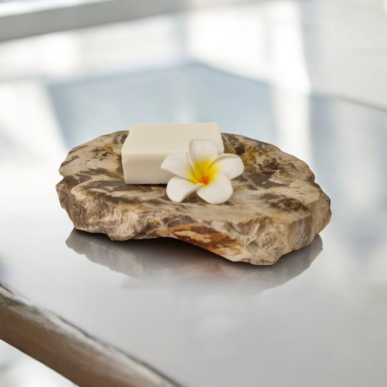 Jabonera de madera fosilizada - 10 x 15 cm piedra natural jabonera en aspecto moderno accesorio de baño