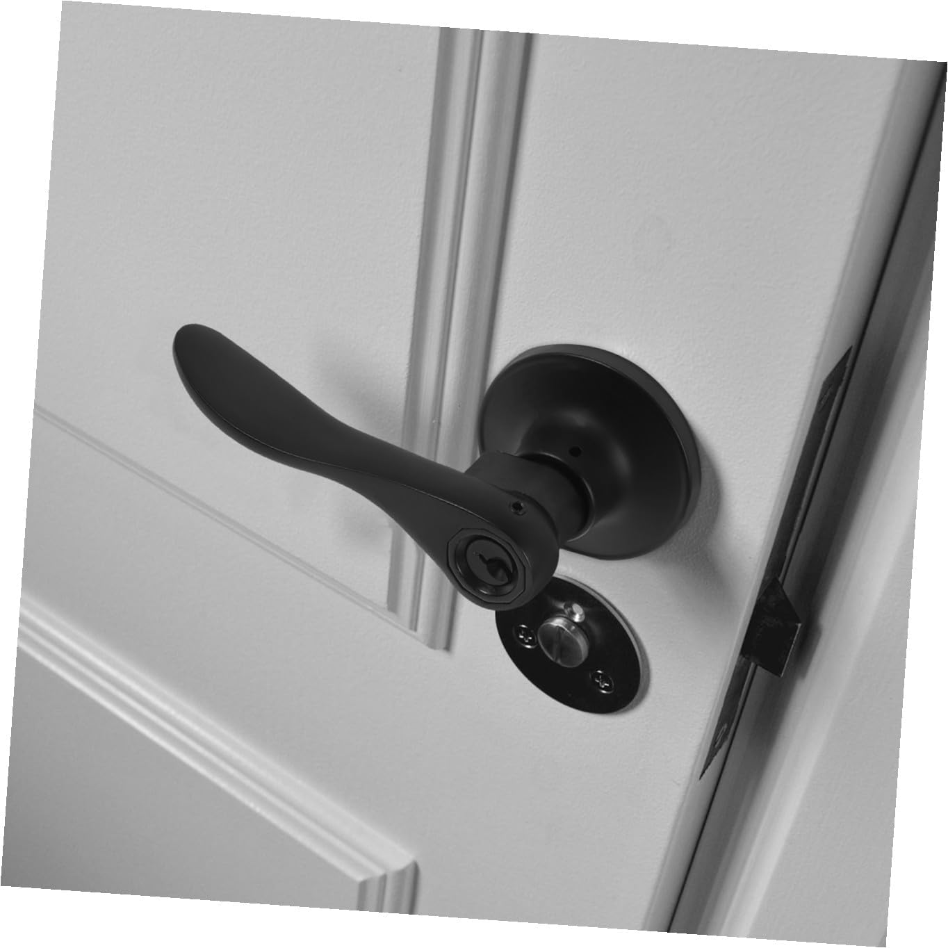 Entry Door Lever Handle Lock for Bathroom and Bedroom, Privacy Interior Door Lock Round Hole, Black Finish,