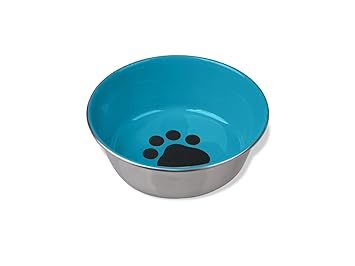 Van Ness Decorated Stainless Dish, 24 oz