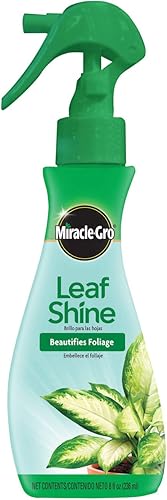 Miracle-Gro Leaf Shine 8 onzas disponible en Yaxa Colombia