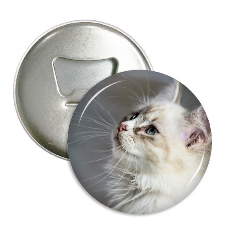 Décapsuleur aimant réfrigérateur 3pcs bouton insigne motif chat mignon argent blanc