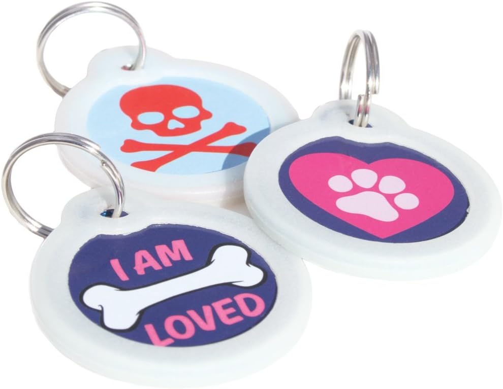 GoTags Unique Pet Tags, Personalized with 4 Lines of Custom Engraved ID, Silent Dog Tags with Glow in The Dark Silencer to Quiet Tag, Several Cute Tag Designs for Cat or Dog, (Heart with Paw)