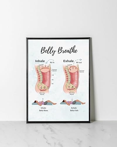 Póster educativo de fisiopatología para respirar del vientre, gráfico de piso pélvico de arriba hacia abajo, decoración de pared del hogar, arte de