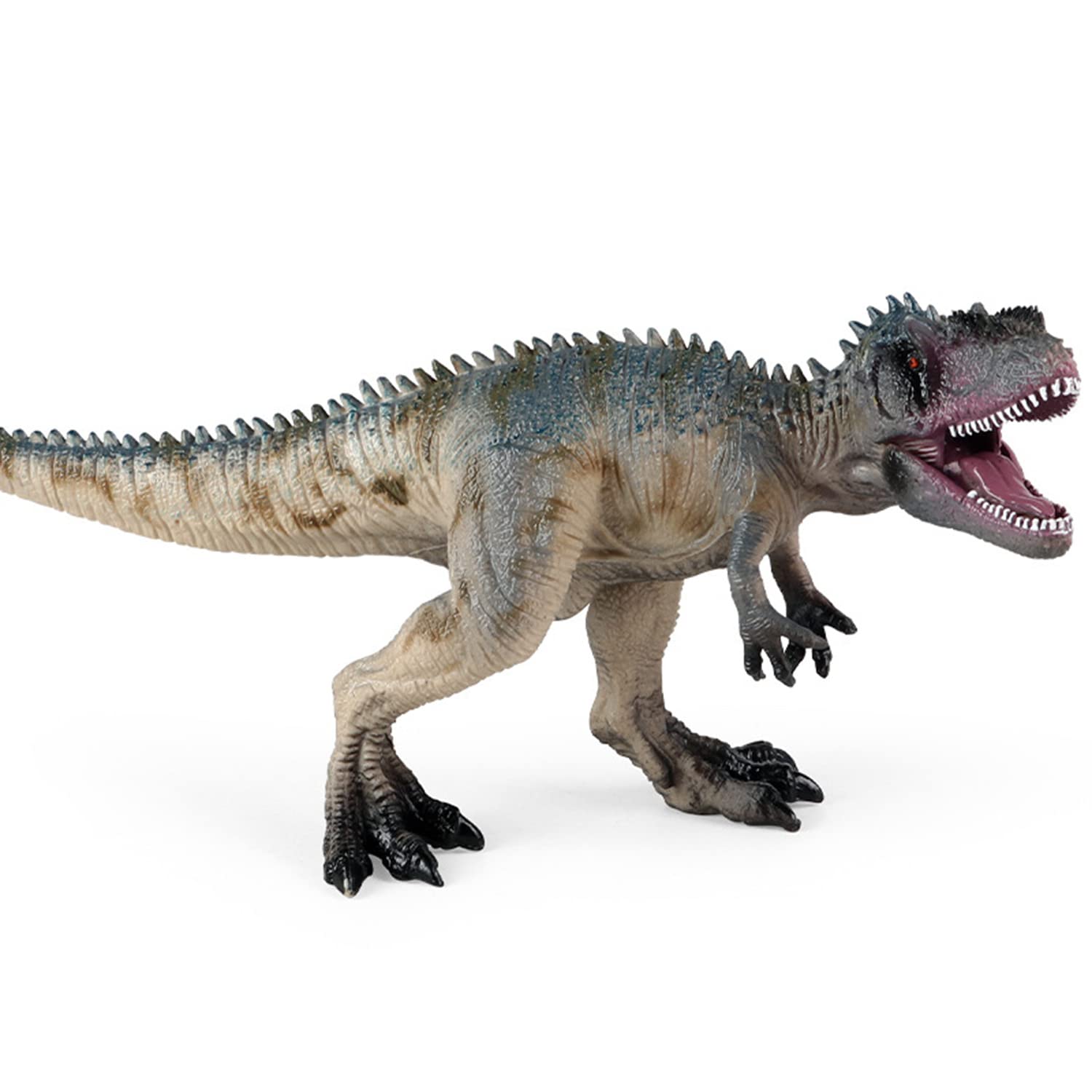 Amazon | MAIBED ギガノトサウルス 恐竜 獣脚類 フィギュア 模型 誕生