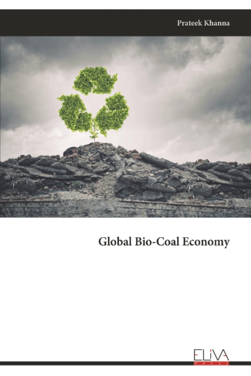 Global Bio-Coal Economy