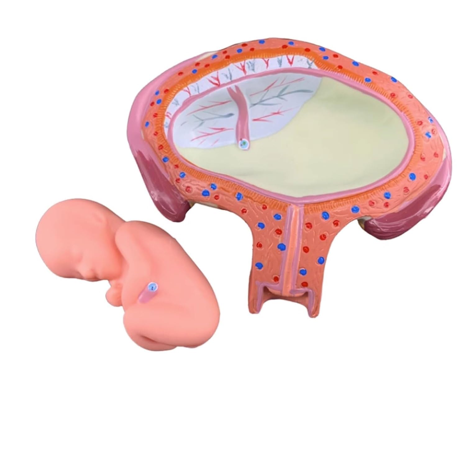 ◇値下げしました【真作】北條菜津子『未来からの来訪者』2008年 油彩