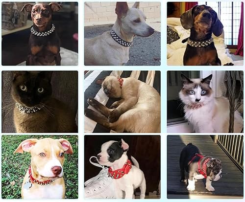 Miniatura 6 de Collares para perros pequeños con pinchos, collar de cachorro con puntas, de piel sintética duradera, para hembra, macho, remaches con tachuelas,