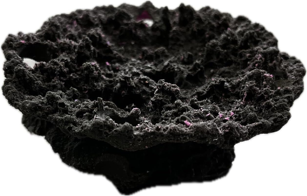 Ocean Aquaria 5 Hole Acropora Coral Plate Frag Rack/Rock for Live Coral Plug Ons for Reef Aquariums (Coralline Purple)